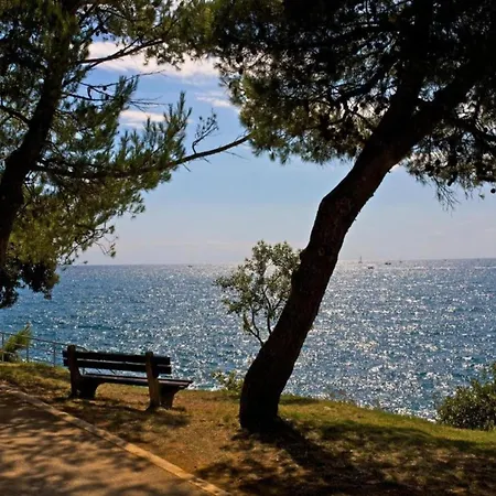 Apartamento In Croatia Near Stunning Coastline